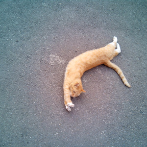 国产日韩亚洲AV
